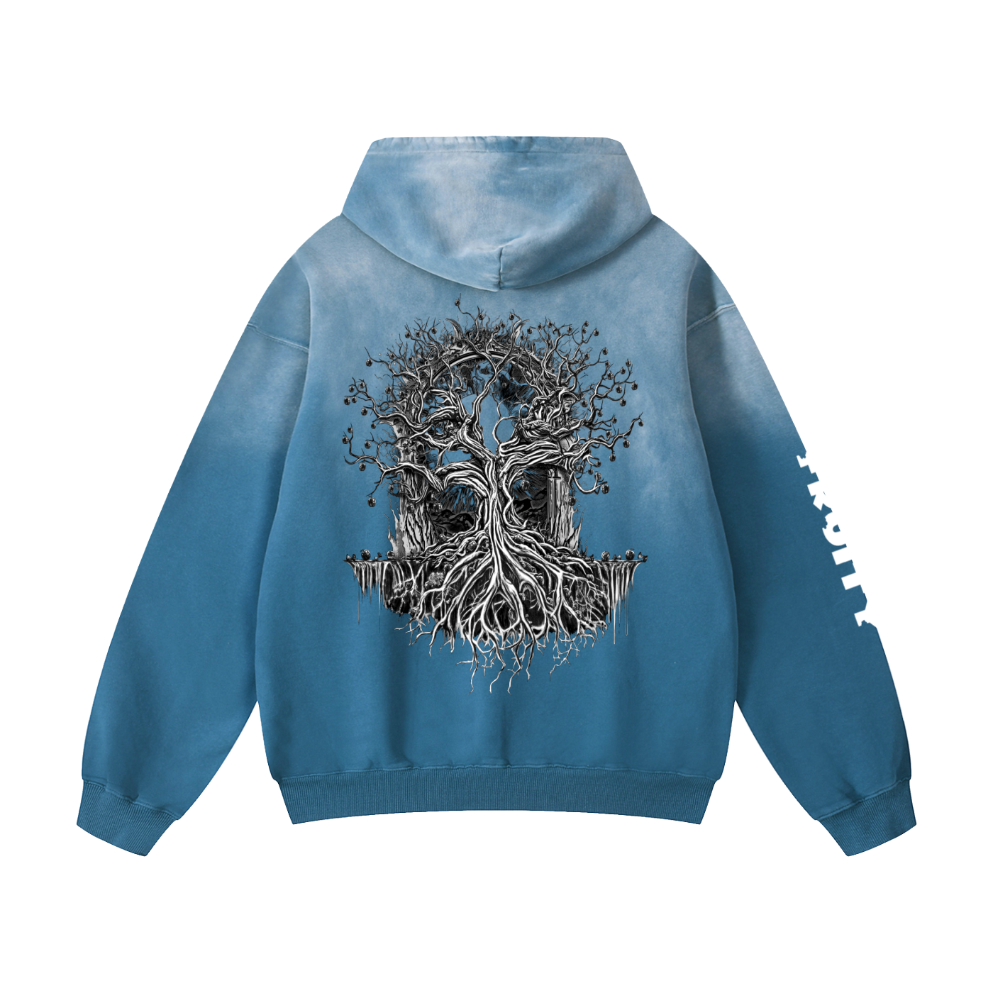 Fruity Heavyweight Faded Hoodie